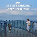 청사포 다릿돌전망대 관광안내소 | 청사포 다릿돌전망대 주차 &amp; 해변열차 정거장 부산여행지