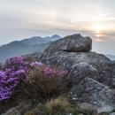 진달래목장 이미지