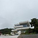 평사리샵 | [여수] 14개월 아기랑 향일암 갔다가 돌산 오션뷰 초대형카페 갈만한 곳 모이핀 스카이점 솔직 후기