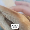 머리할라꼬