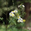 운기목장 네이버블로그