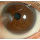 카이스트안경원 이미지