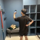 스고이 이미지