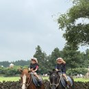 샘목장 | 제주 목장 카페 밭디, 5살 아이랑 다녀온 제주 동쪽 감성 목장