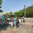 감정초병설유치원 이미지