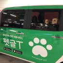 행복펫택시 이미지