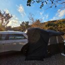 올레 | 제주 차박 마음껏 할 수 있는 캠핑장 제주 올레캠핑장 후기