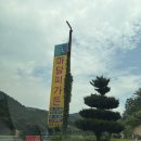 마달피가든 이미지