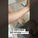 성인남자 둘이서 대왕 바퀴벌레 잡는 영상 이미지