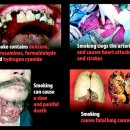 세상을보는 창 `NetizenEyeNews`2007년 8월 31일[금] 이미지