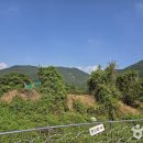 용전숲 공중화장실 이미지