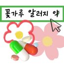송화약국 | 꽃가루 알러지 알레르기 | 봄철 알레르기 비염 약