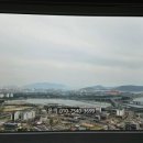 에코지움케어 네이버블로그