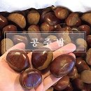 밤