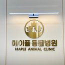 옥천동물병원 이미지