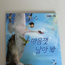 열린나라어린이집 | <춤추는 포포> vs <리리의 이야기 숲> | 둘 다 읽어본 솔직 후기, 유아 창작 전집