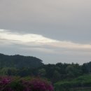 지리산(대구) 이미지