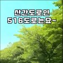 드라이브 할때 특히 여름에 다녀오기 좋은 제주 516도로 숲터널 이미지