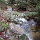 백조농장(1) 이미지