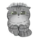 다소니의원 이미지