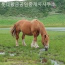 롯데황금부동산공인중개사사무소 이미지