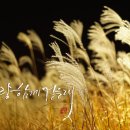 너와의 산책 이미지