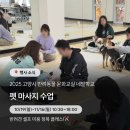 홈브리딩 | 2025 고양시 반려동물 문화교실 네발학교 펫 마사지 수업 with 브리딩