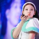 모모투어 이미지