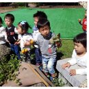 뜰안에 황토 이미지