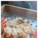 바다나라식당 이미지