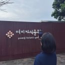 미락단지 (옥외1) | 제주 여미지식물원 입장료 할인 방법과 미리 보는 수국