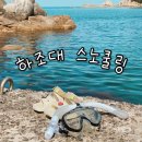양양 하조대 스노쿨링 하조대 전망대 주차 샤워장 근처 맛집