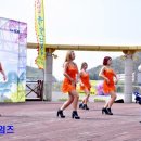 대한연예예술인연합회 이미지