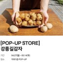 백화점길 | 판교현대백화점 강릉길감자 팝업 내돈내산 후기