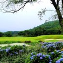 가야골프 이미지