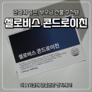 [제품후기] 부모님 선물 추천템 관절영양제 셀로비스 콘드로이친 후기_콘드로이친이란