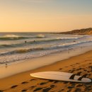 노을을 사랑하는 의 이미지