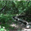 경남함양이은349 이미지