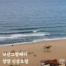 디자인바이쏘 | 낙산그랑베이 양양 신상호텔 수영장 바이 쏘타 스위트
