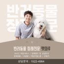 안남로(대청로) 이미지