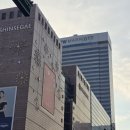 웰스킨 이미지