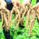 주주리농장 이미지