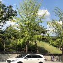 온투게더주