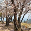 서생포왜성주차장 이미지