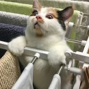 언니야피부관리샵
