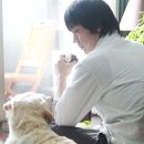 어바웃도그 이미지