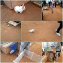 법인나눔농장