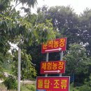 돌탑농장 이미지