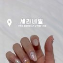 세라네일 이미지