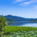 두물머리 이미지